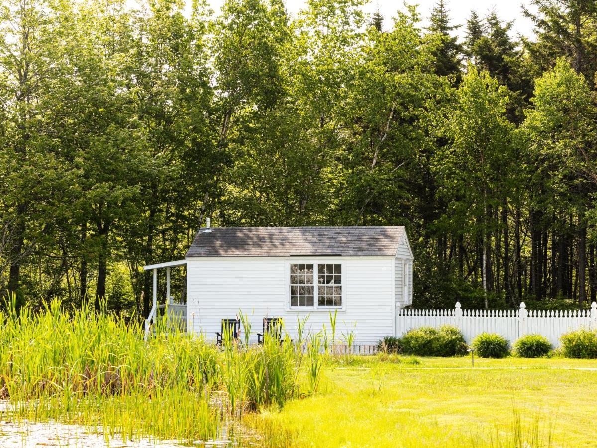 Bluebird Ocean Point Inn Экстерьер фото